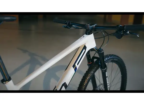 Horský bicykel Superior XP 969 Gloss White Metallic/Hologram Black