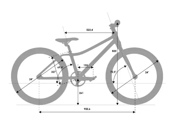 Rascal 24 Titan 5 sp. Sturmey Archer detský bicykel