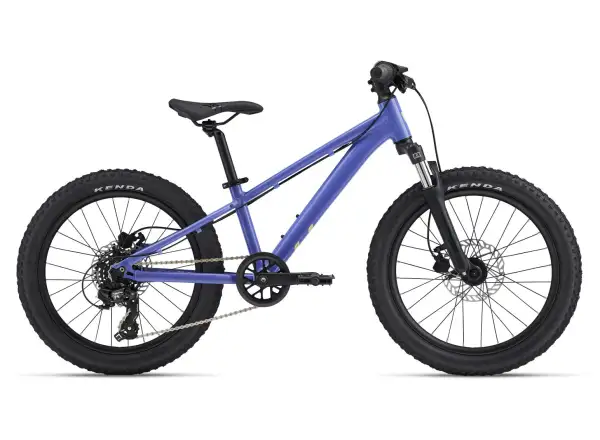 Giant STP 20 FS Liv detský bicykel Dusted Peri