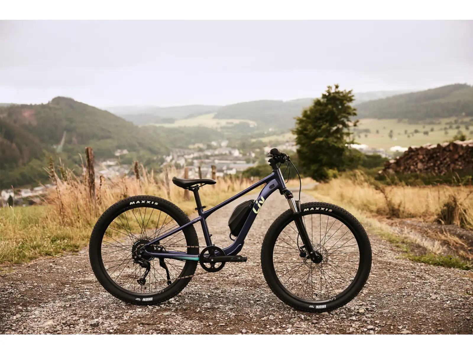 Liv Tempt E+ Junior 26 detský elektrobicykel Milky Way