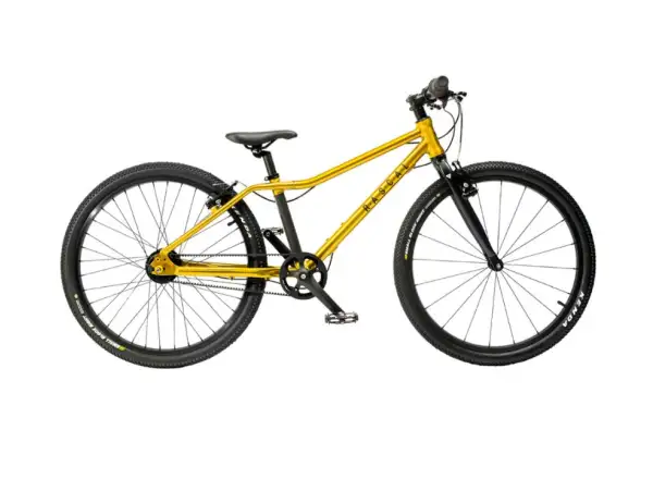Detský bicykel Rascal 24 Gold 3 sp. Shimano Nexus