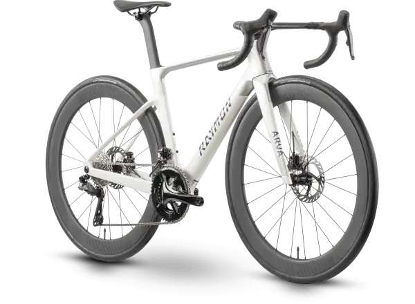 Raymon Arva Pro 24S Ultegra Di2 cestný bicykel starwhite/silver