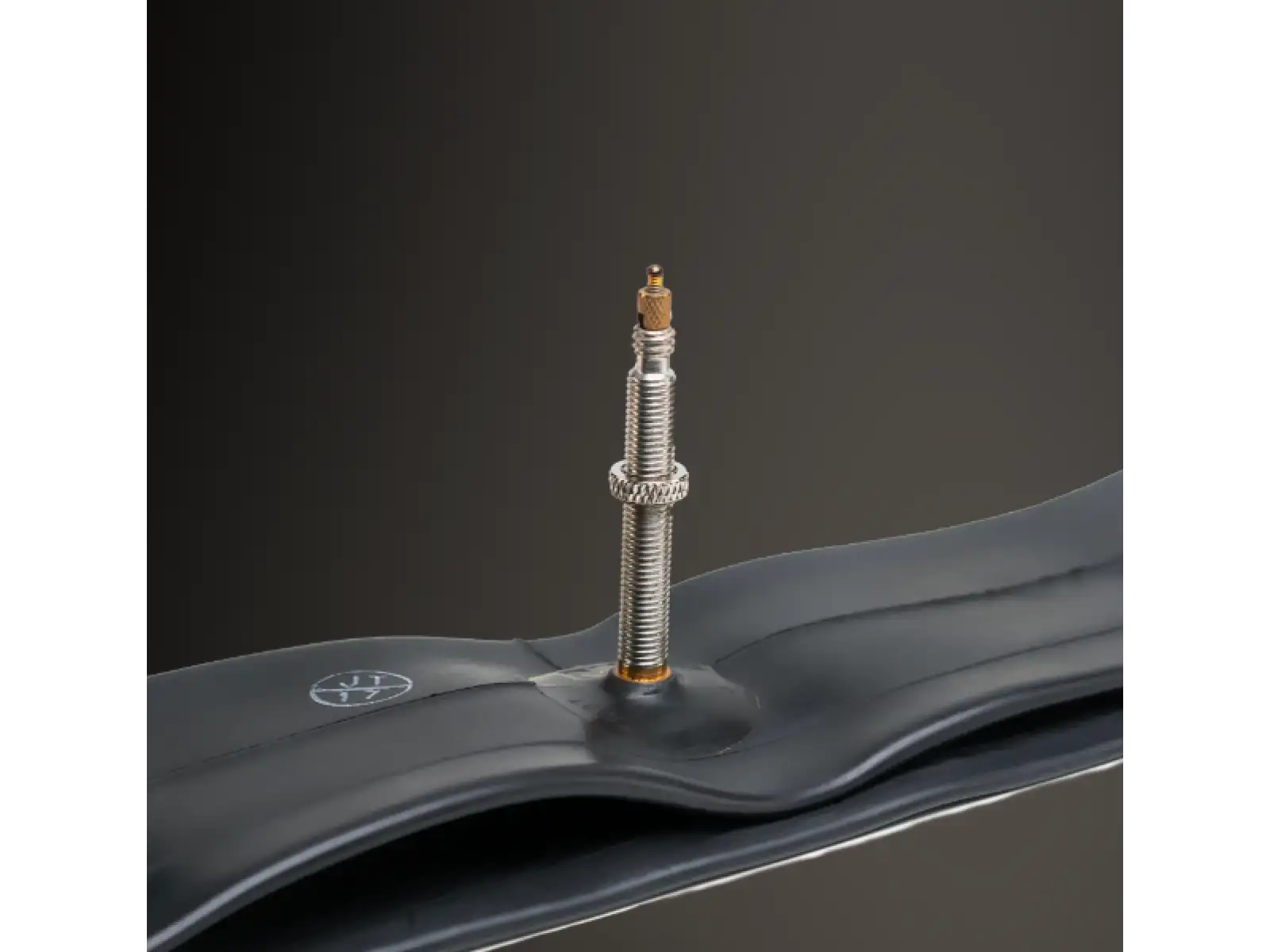 WTB Presta duša 29x1.9/2.3