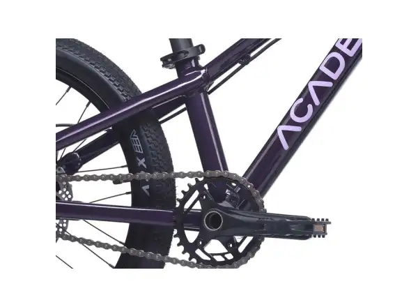 Academy S-Grade Pump 4 detský bicykel 20" fialová