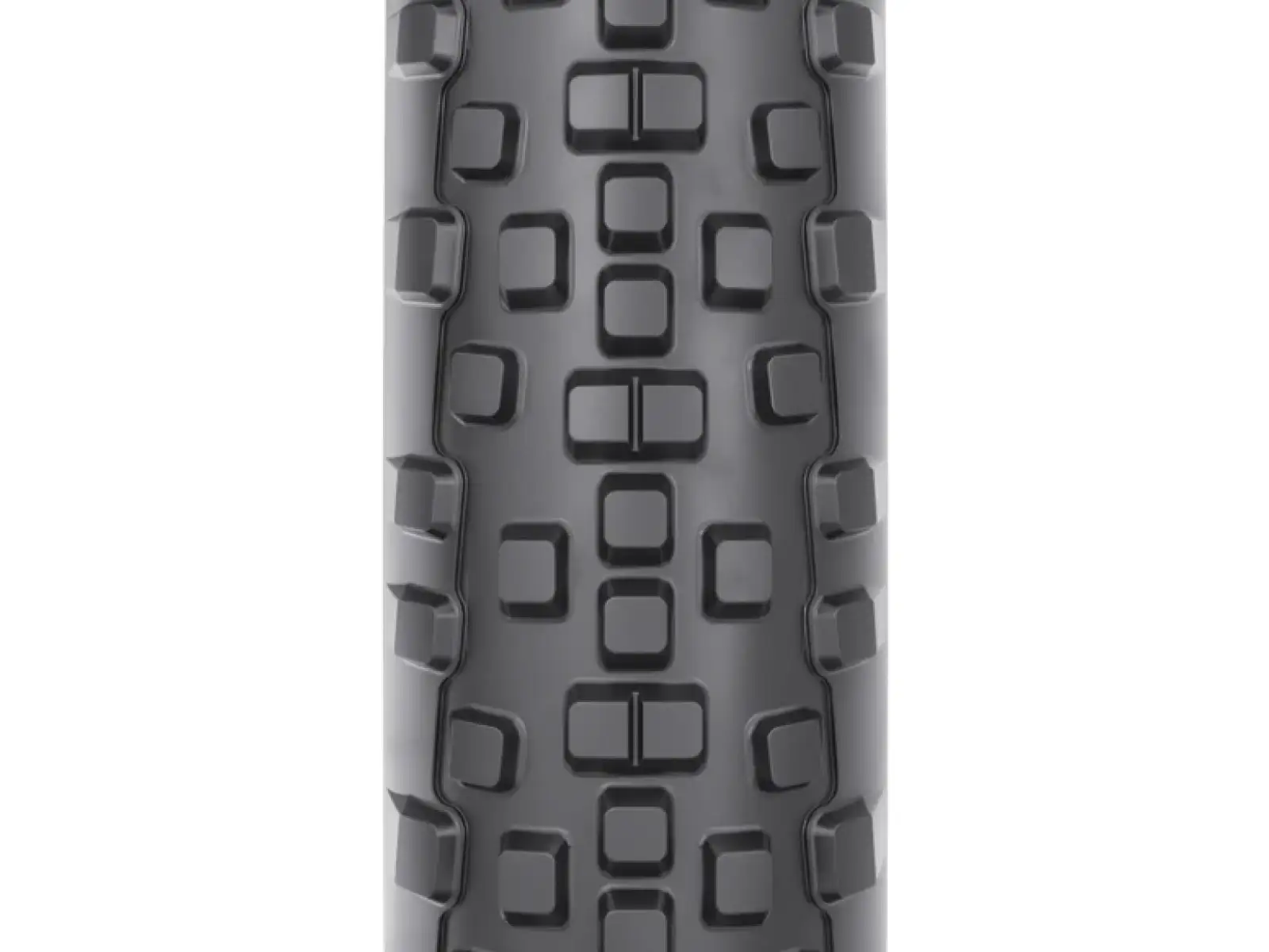 WTB Resolute TCS 28" LFR SG2 gravel plášť kevlar čierna/hnedá