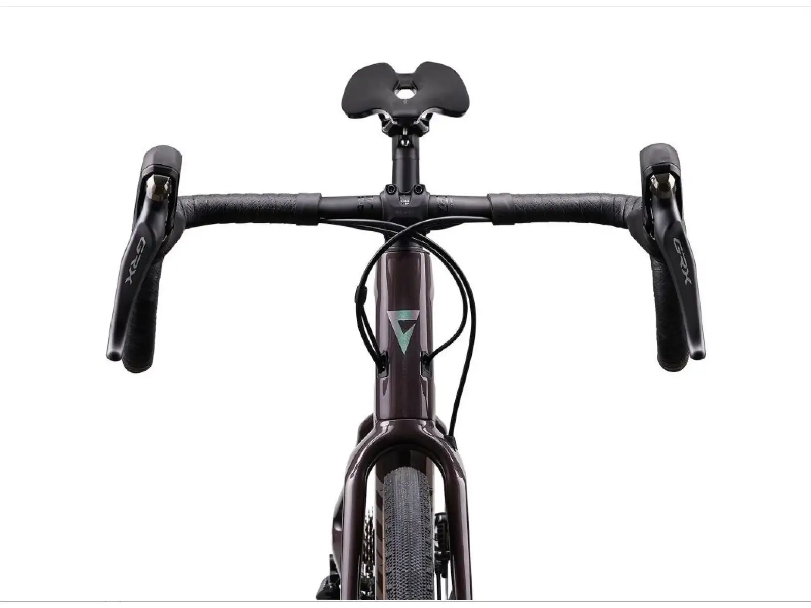 Giant Revolt Advanced 0 gravel bike charcoal plum