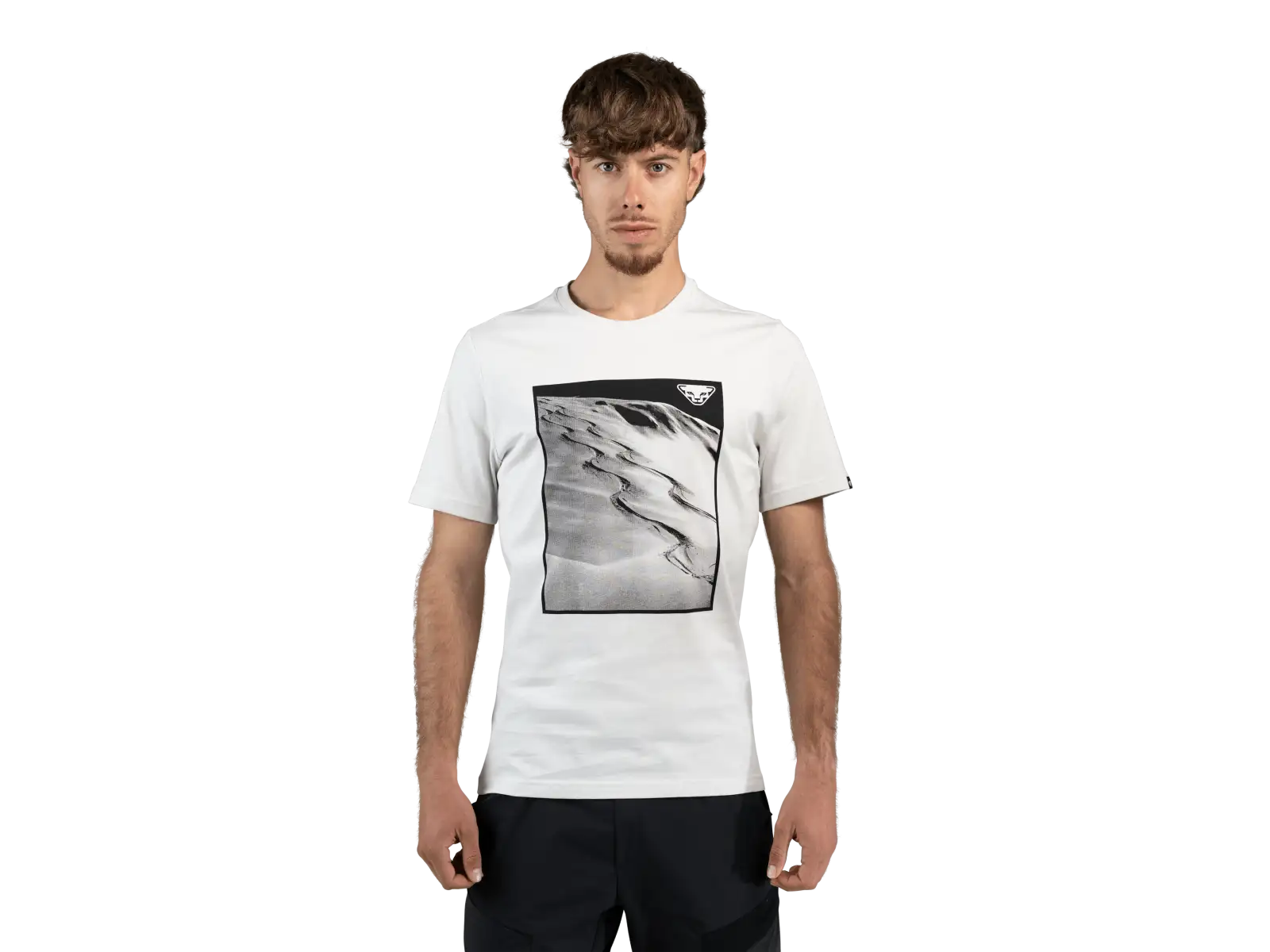Dynafit Graphic Cotton pánske tričko krátky rukáv Nimbus/First Track