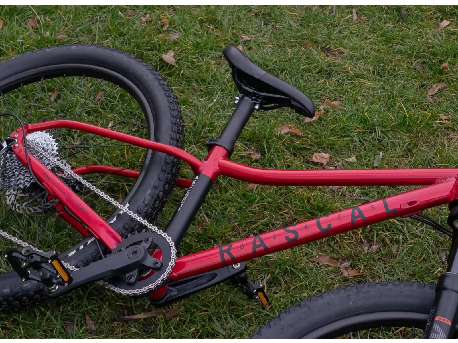 Rascal Wild 20 detský bicykel Ruby Red