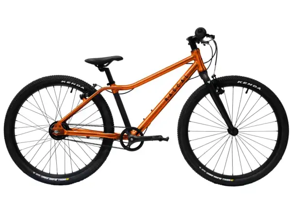 Rascal 24 Flame 5 sp. Sturmey Archer detský bicykel