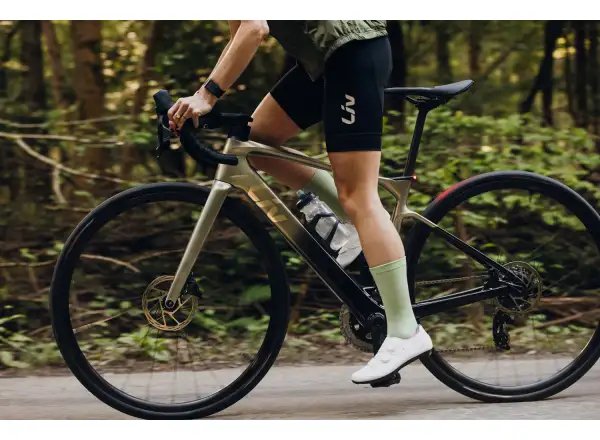 Liv Avail Advanced E+ Elite 2 cestný elektrobicykel Golden Haze