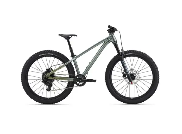 Liv STP 24 detský horský bicykel Alpine Green