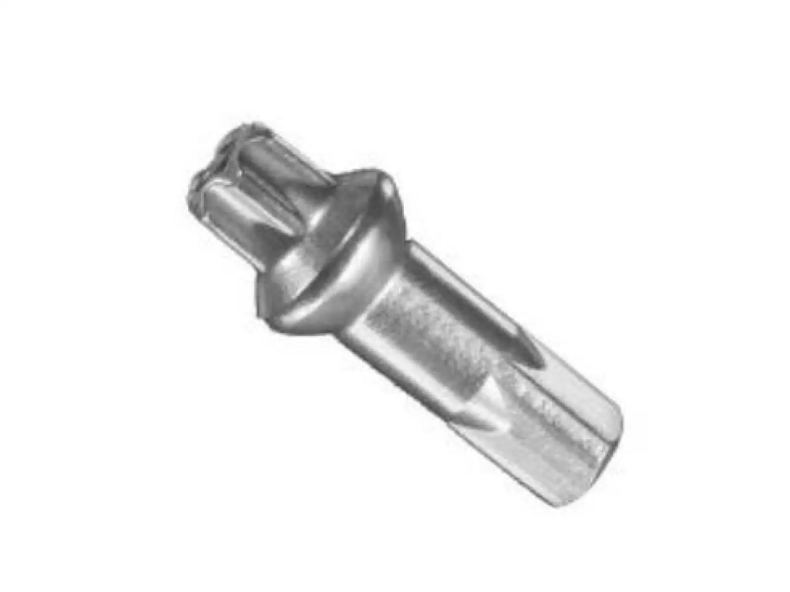 DT Swiss Squorx ProHead ProLock mosadzný nipl 2,0x15 mm strieborný