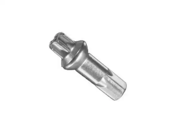 DT Swiss Squorx ProHead ProLock mosadzný nipl 2,0x15 mm strieborný