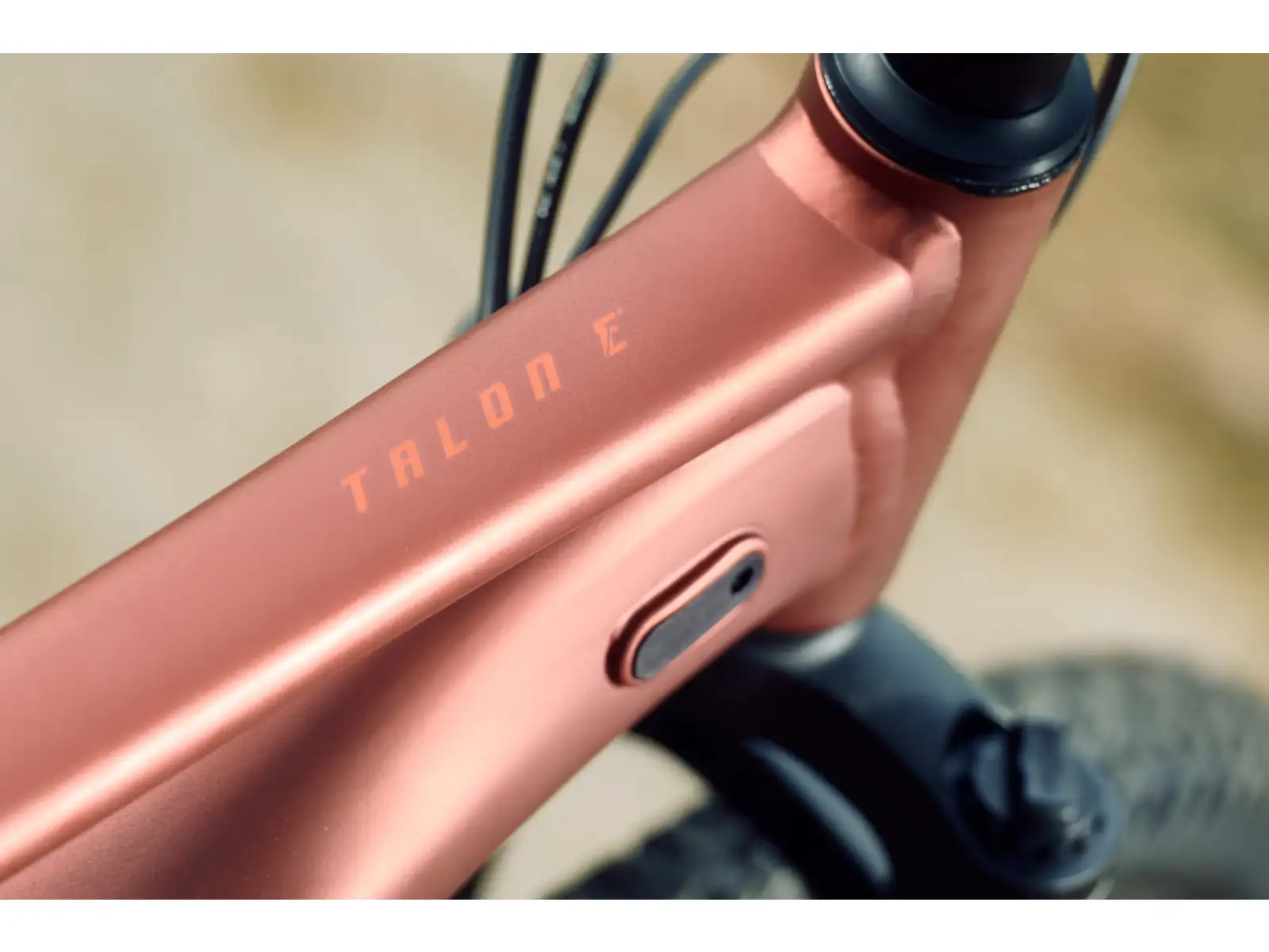 Giant Talon E+ Junior 24 detský elektrobicykel Terracotta