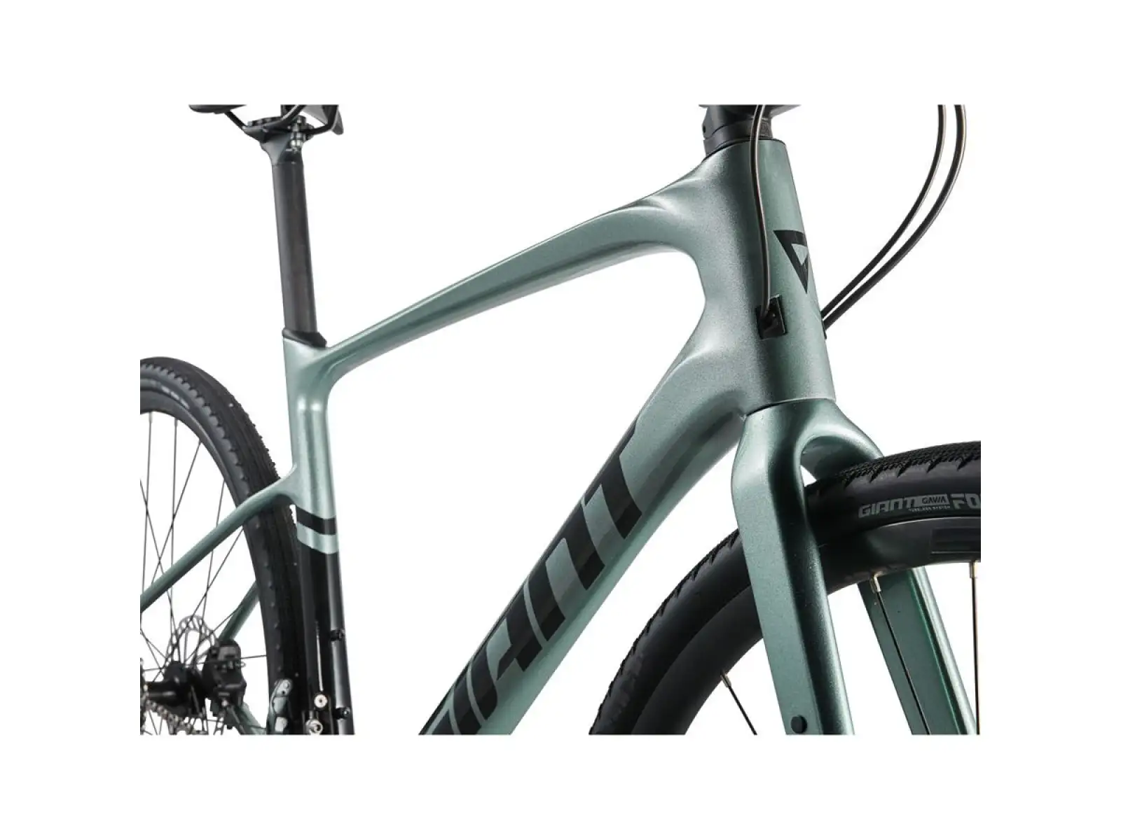 Giant FastRoad AR Advanced 2 fitness bicykel misty forest