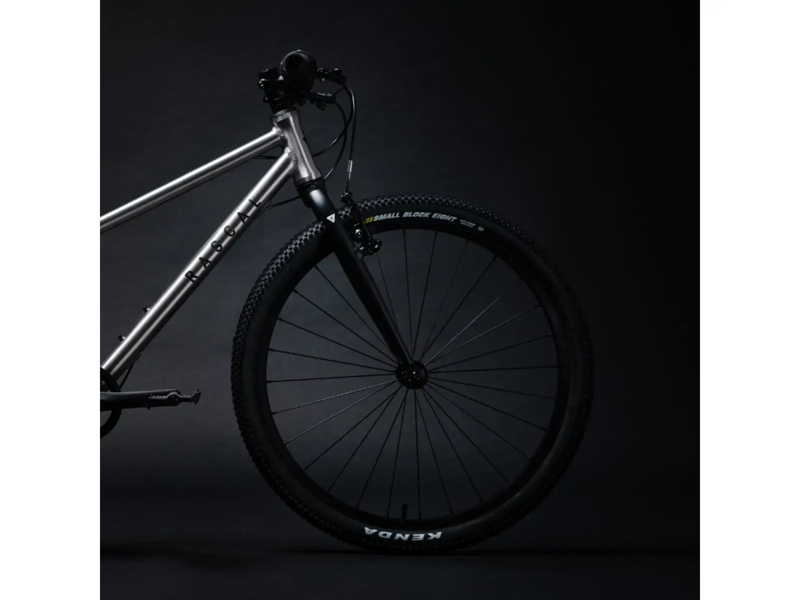 Rascal 24 Titanium 7 sp. Shimano Nexus detský bicykel