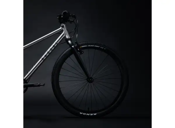 Rascal 24 Titanium 7 sp. Shimano Nexus detský bicykel
