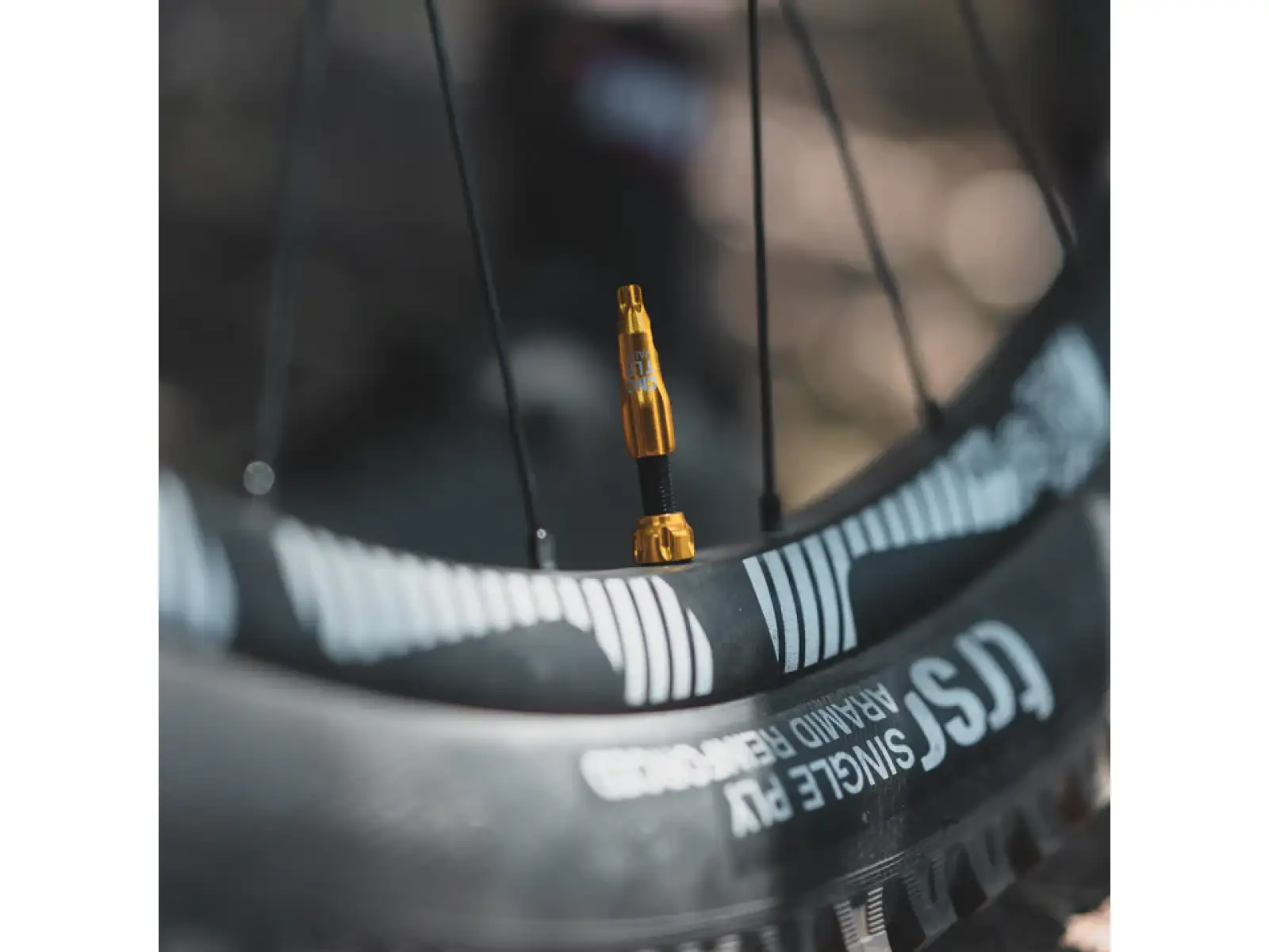Lezyne CNC TLR Bezdušové ventily 44 mm silver