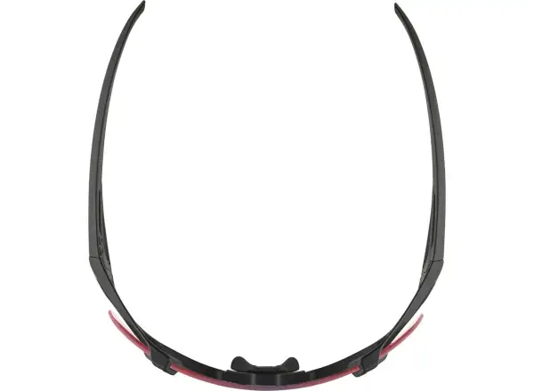 Alpina Hawkeye QV okuliare Black Matt