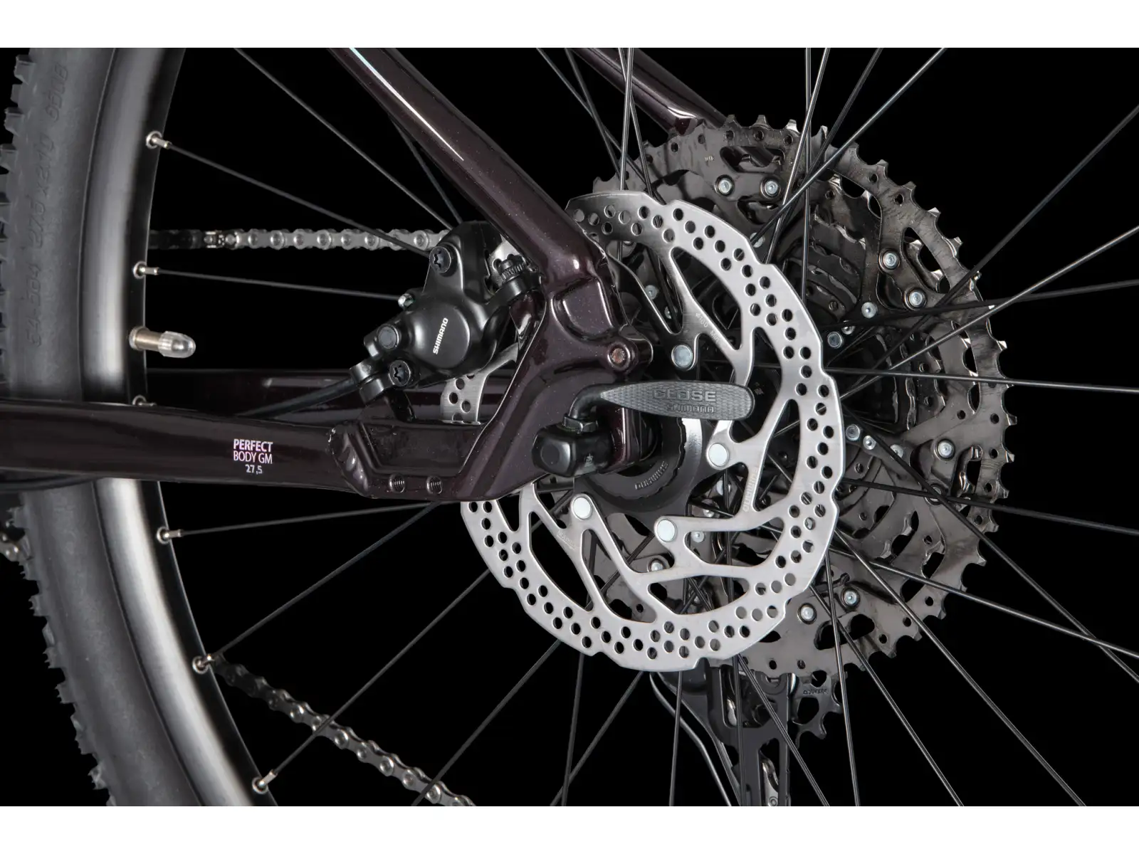 4Ever Frontbee Lady 27,5" dámsky horský bicykel Dark wine/silver