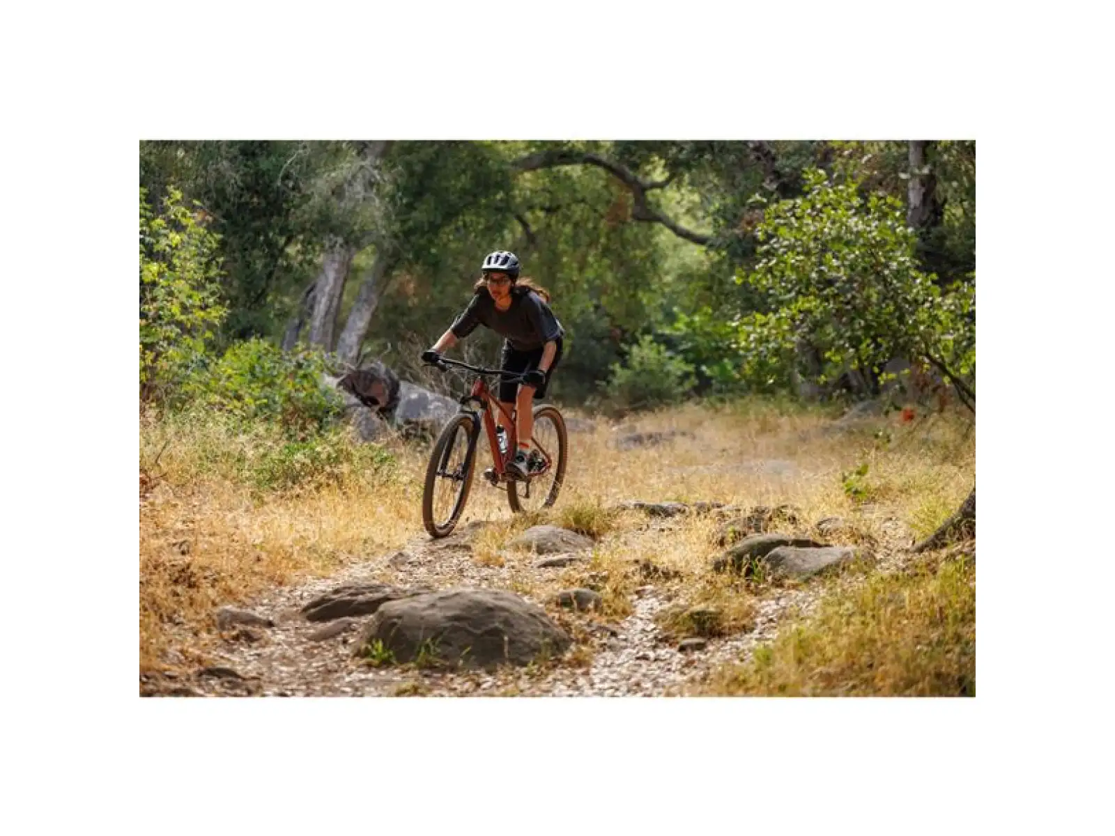 Giant Tempt 2 XS horský bicykel Mars Dust