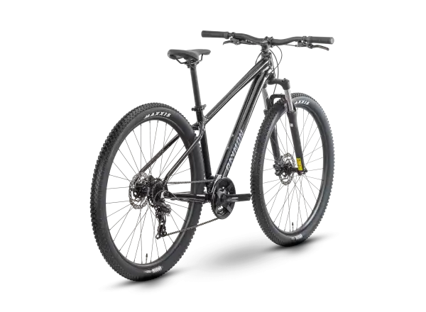 Raymon Nayta 29" horský bicykel Black/Iredesciant Black