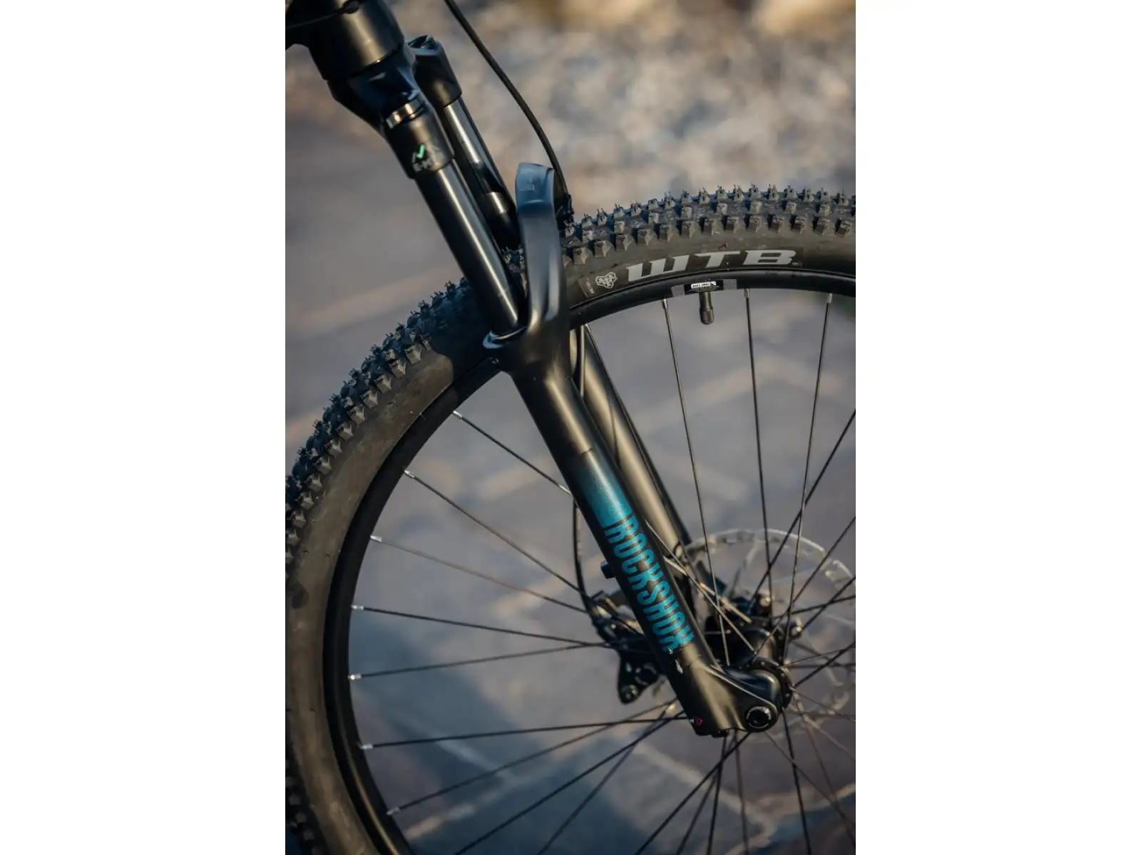 Rock Machine Torrent E90-29 Easy Entry horský elektrobicykel Petrol VZORKA