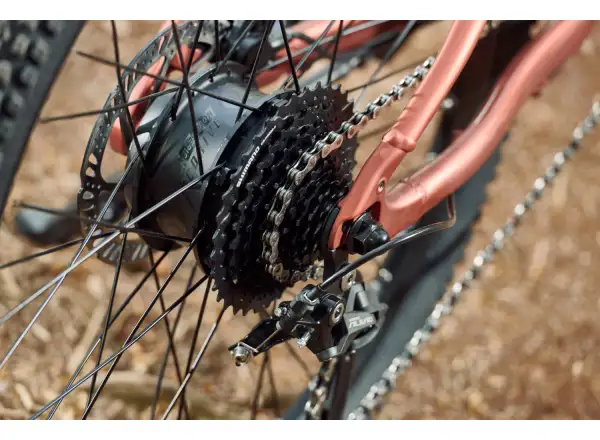 Giant Talon E+ Junior 24 detský elektrobicykel Terracotta