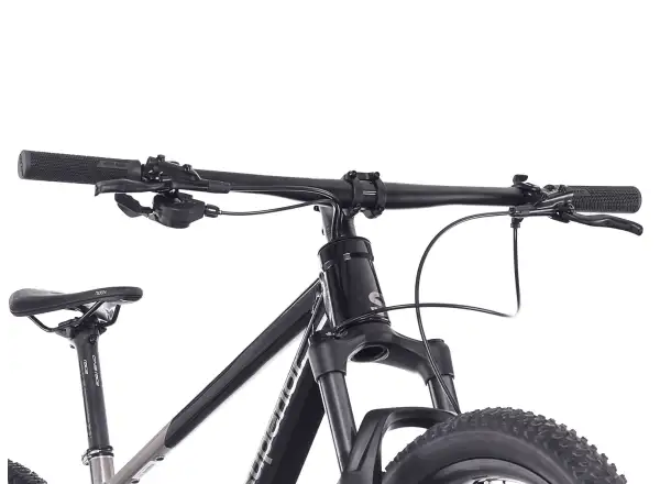Superior XP 6.2 horský bicykel Gloss Brush Alu/Black
