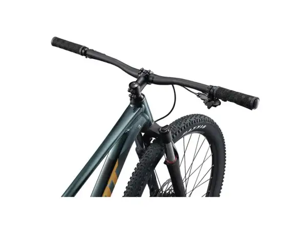 Giant Talon 29 2 horský bicykel Asphalt Green