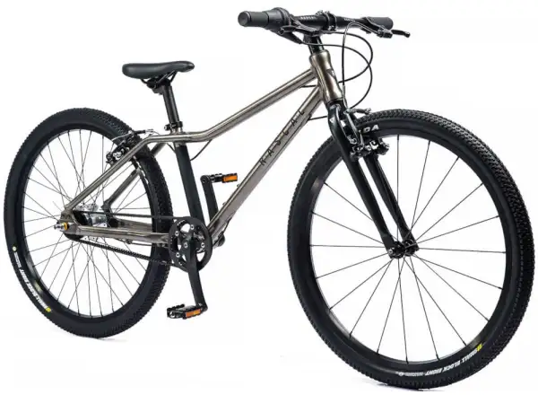 Rascal 24 Titan 5 sp. Sturmey Archer detský bicykel