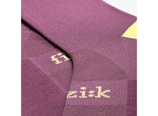 Fizik Team Edition cyklistické ponožky Grape