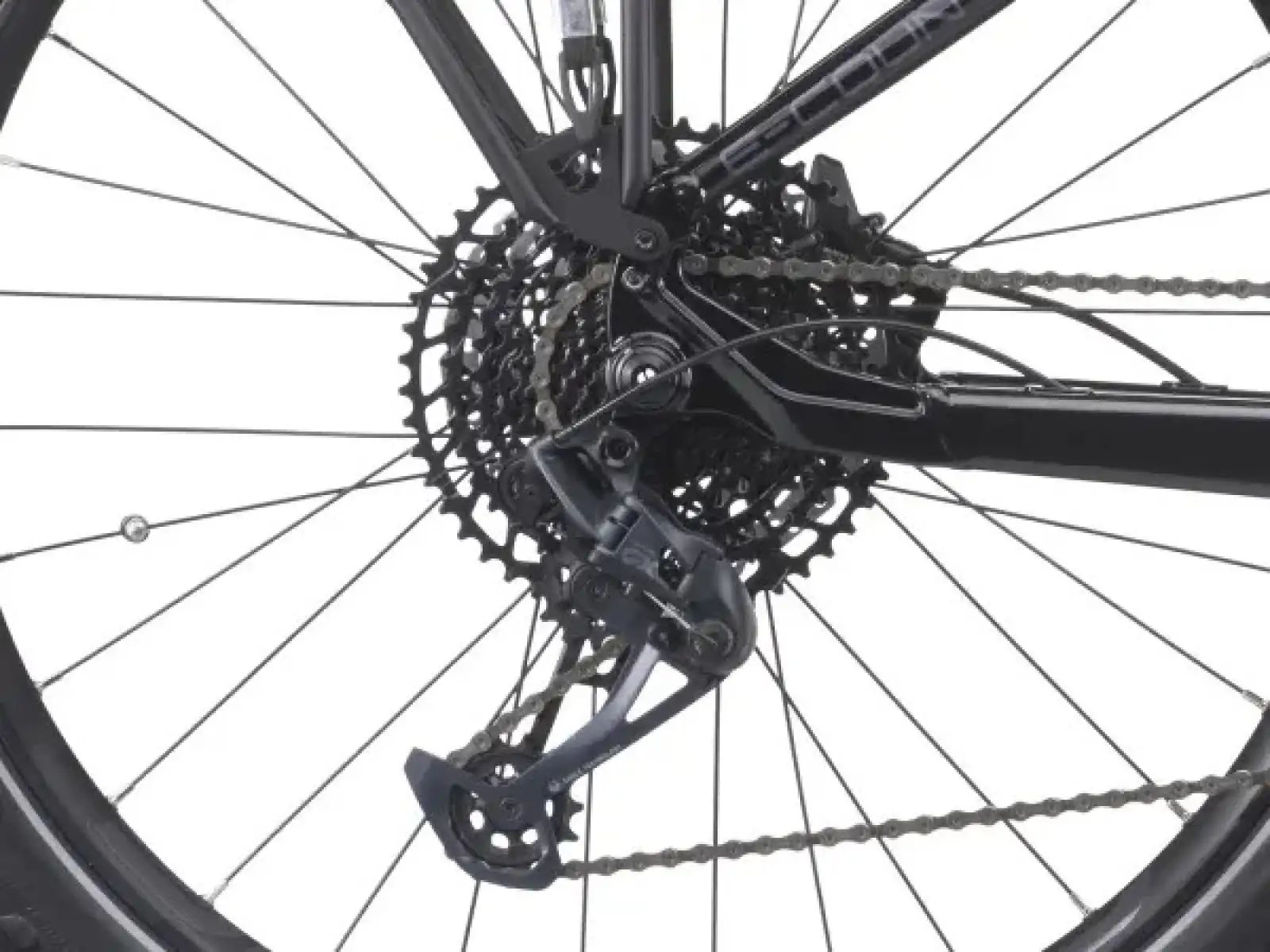 Crussis e-Country 10.10-M (720 Wh) nízko-nástupový elektrobicykel