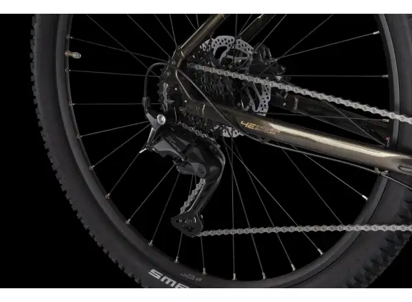 4Ever Frontbee XCM 29" horský bicykel Gold galaxy