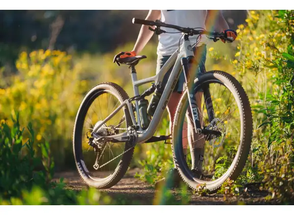 Ibis Exie V2 GX 29" horský bicykel bone
