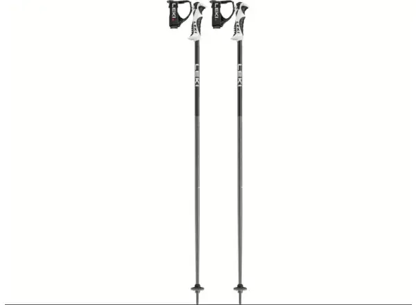 Leki Bold S zjazdové palice Dark Anthracite/Black/White