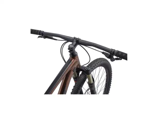 Horský bicykel Giant Talon 29 1 GE Hematite