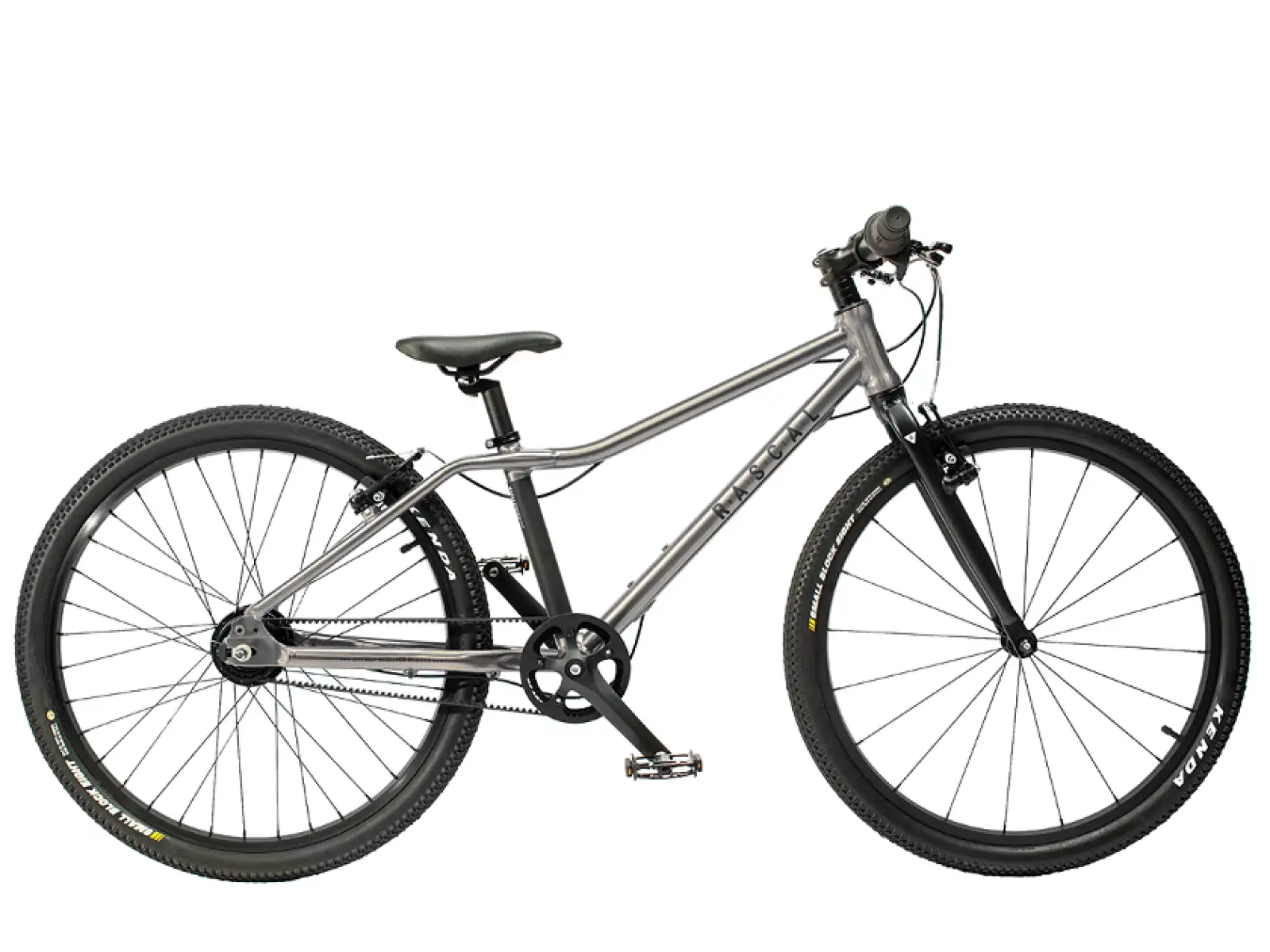 Rascal 24 Titanium 7 sp. Shimano Nexus detský bicykel