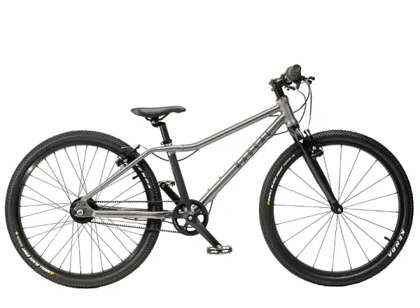 Rascal 24 Titanium 7 sp. Shimano Nexus detský bicykel