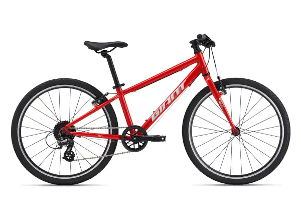 Giant ARX 20 detský bicykel Phoenix Fire