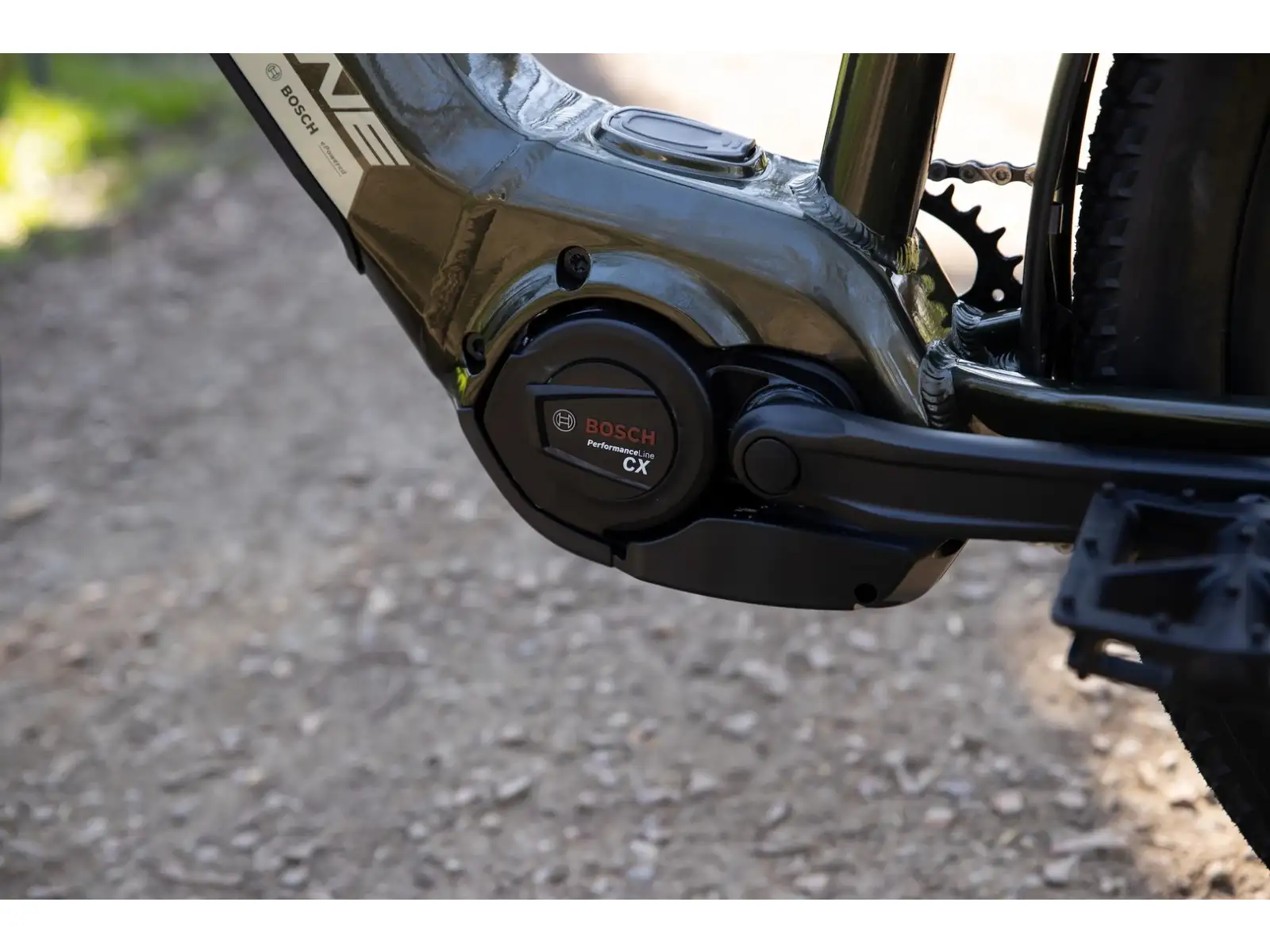 Rock Machine eBlizz B70T horský elektrobicykel Gloss Dark Forest
