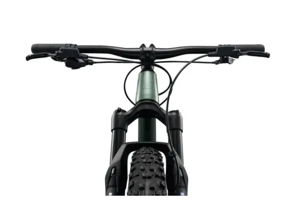 Liv STP 24 detský horský bicykel Alpine Green
