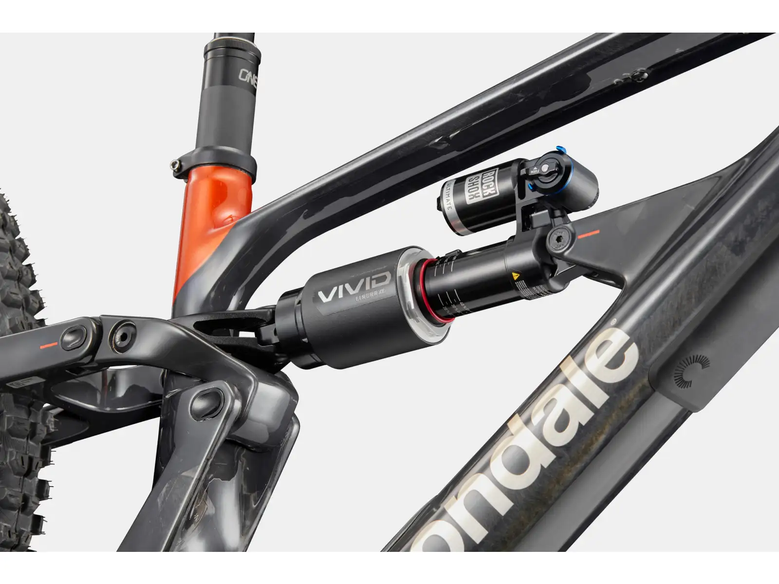 Cannondale Bad Habit 1 horský bicykel RAW Carbon