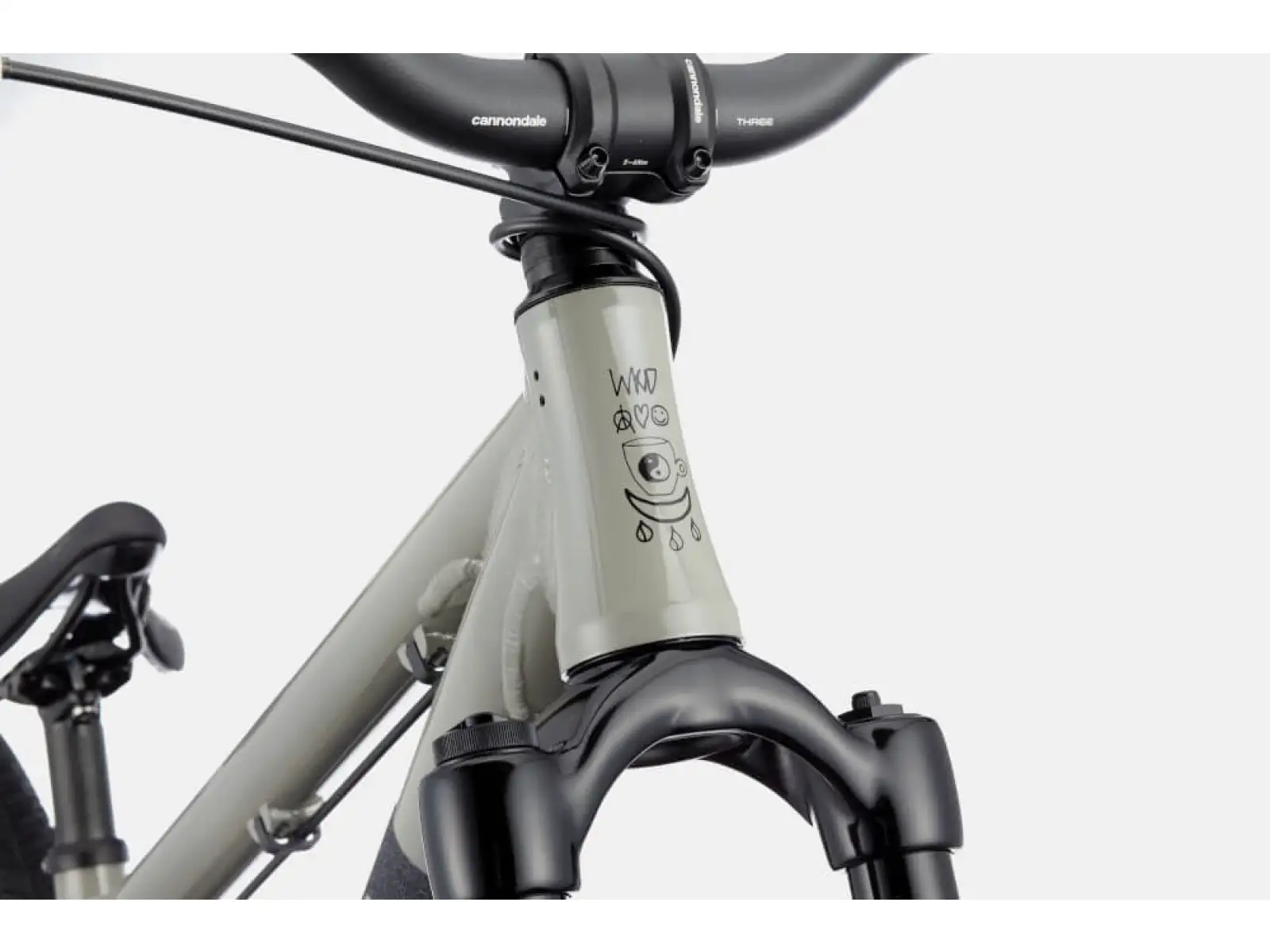 Dirtový bicykel Cannondale Dirt Dave