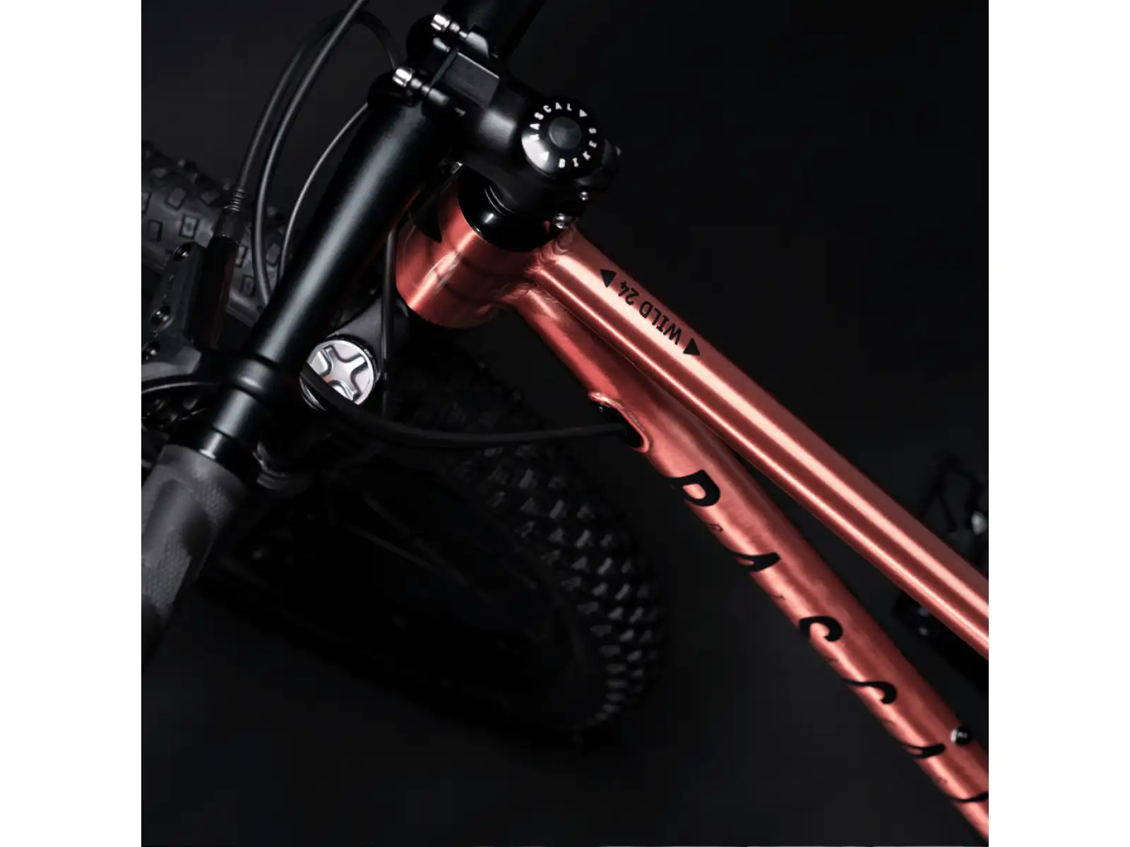 Rascal Wild 24 detské bicykel Bronze