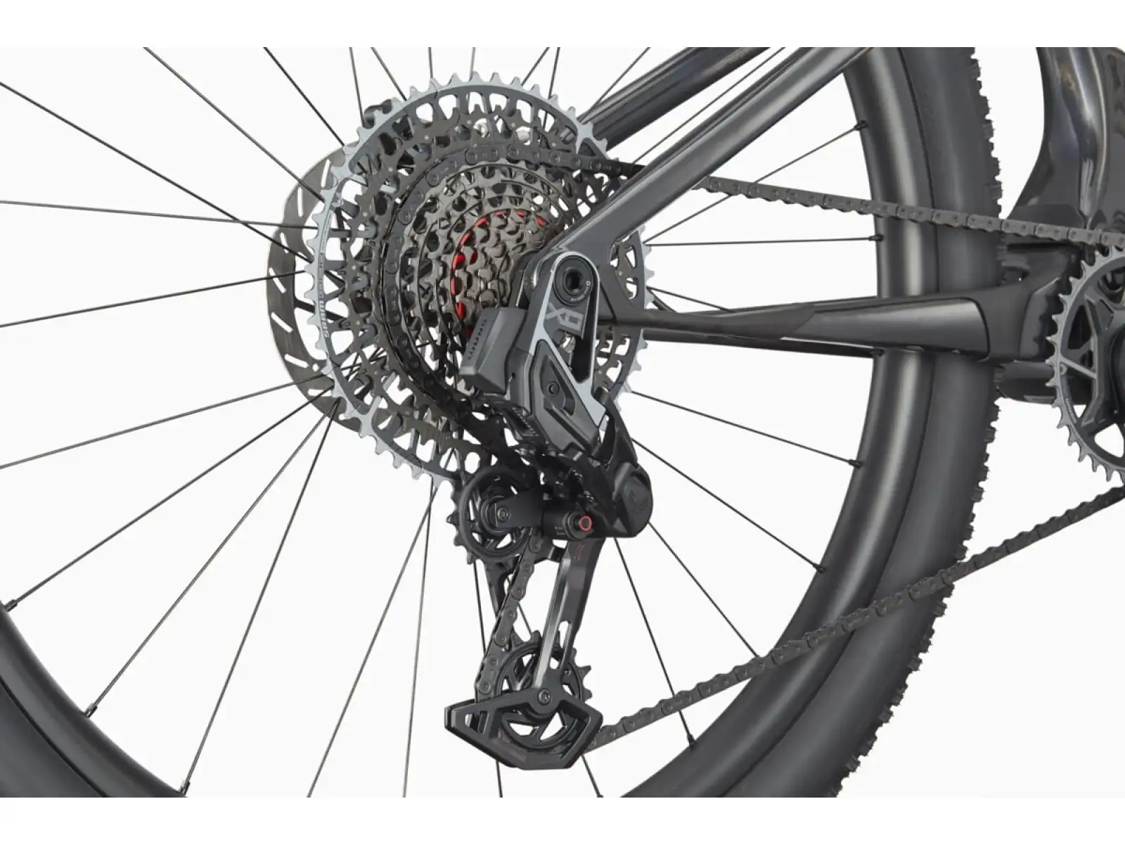 CANNONDALE SCALPEL 29" CARBON 1 (C24203U20/RRD)