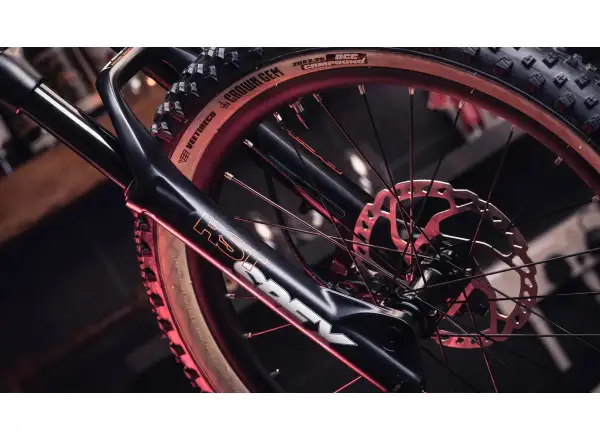 Early Rider Hellion 20 detský bicykel Brushed Aluminium
