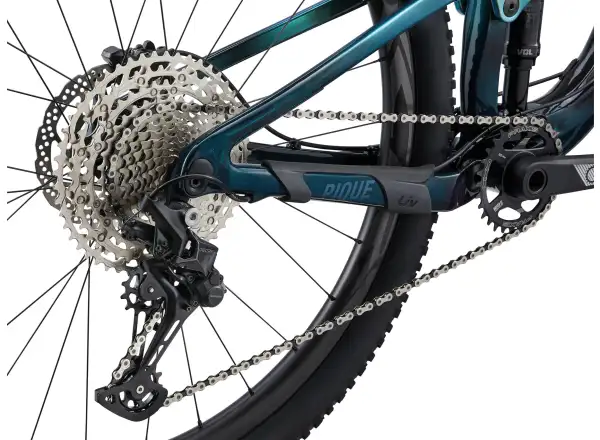 Liv Pique Advanced Pro 29 horský bicykel Phoenix Fanatic Teal/Dark Green
