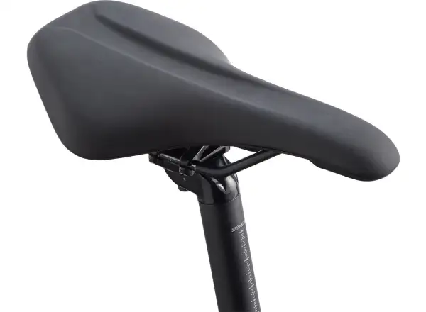 Giant Roam 2 Disc Black trekingový bicykel