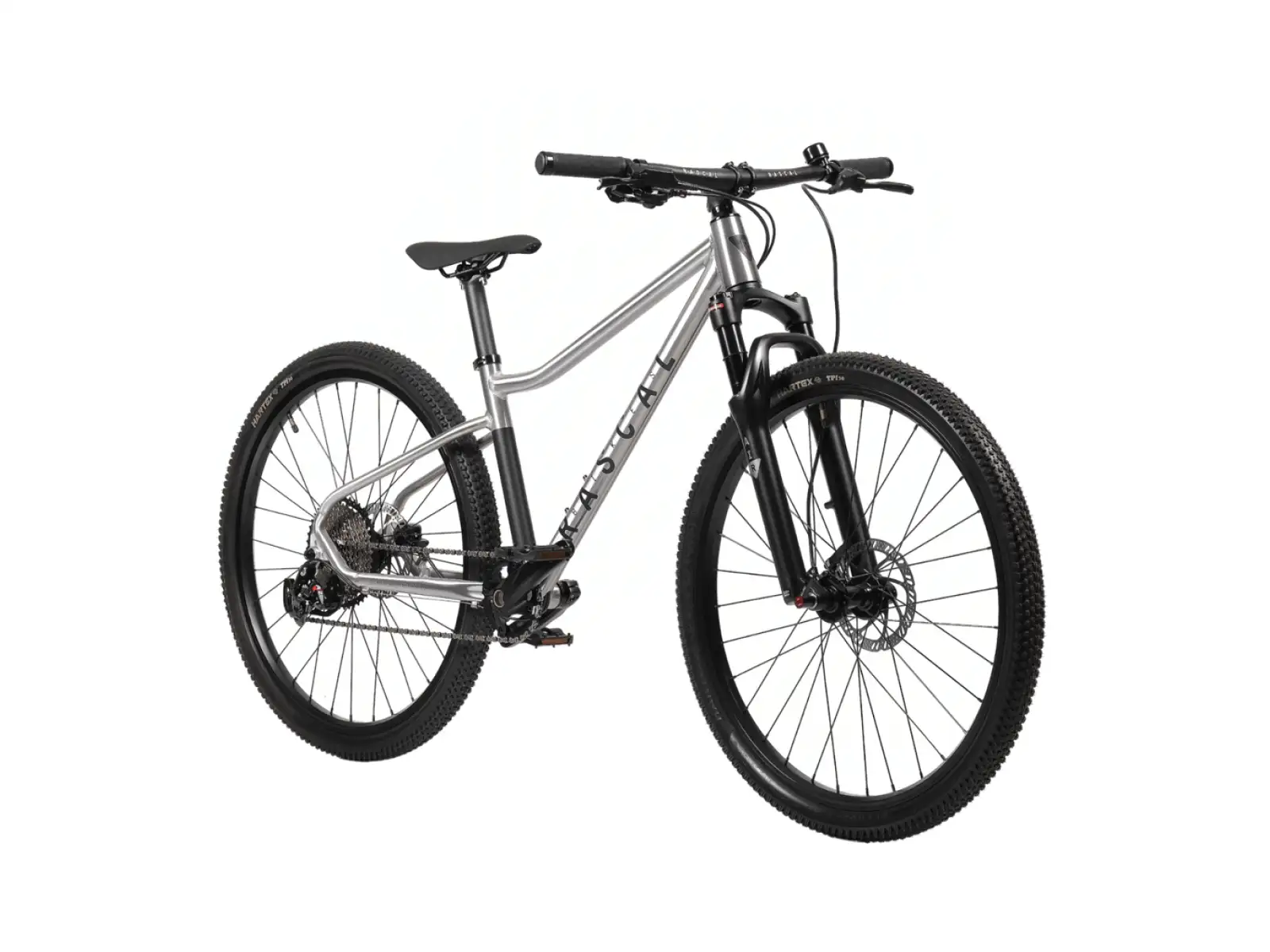 Rascal Wild 27 Limited detský bicykel Silver